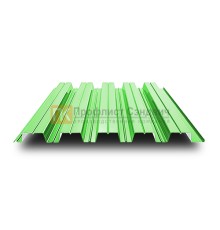 Профнастил НС44 0.5мм Norman RAL6019